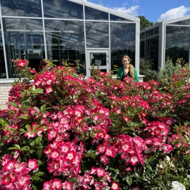 Bukavu Christiga.JPEG